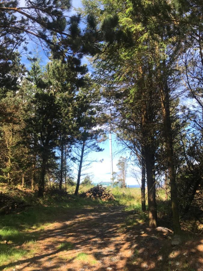 The Stable Self Catering Cottage @ Cappa House Bnb Eyeries Exteriör bild
