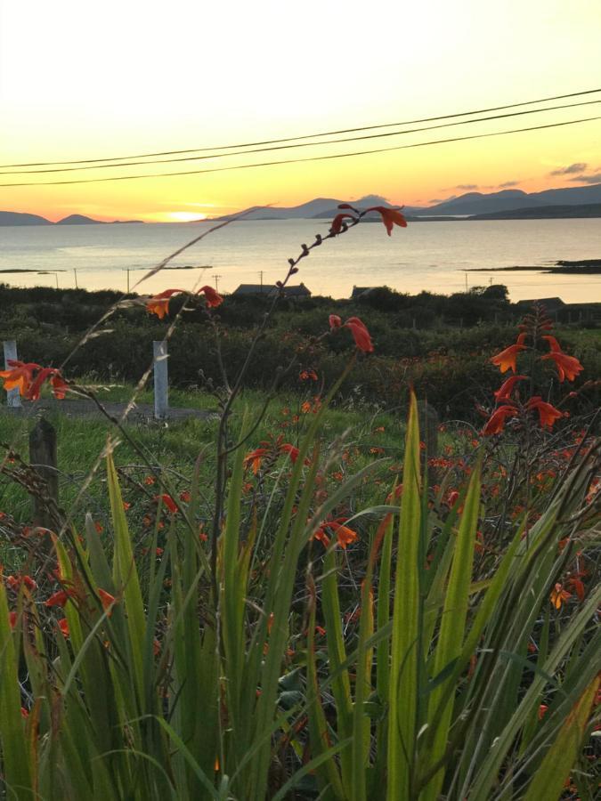 The Stable Self Catering Cottage @ Cappa House Bnb Eyeries Exteriör bild